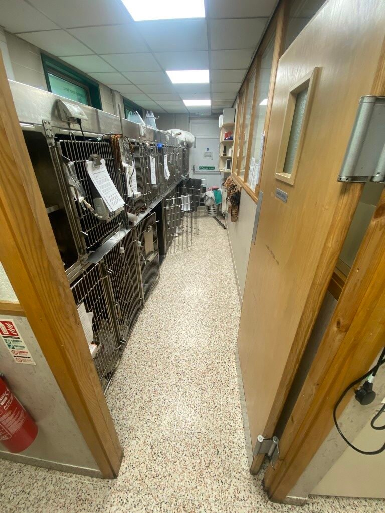 Kennels - Before